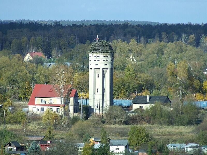 Pisz