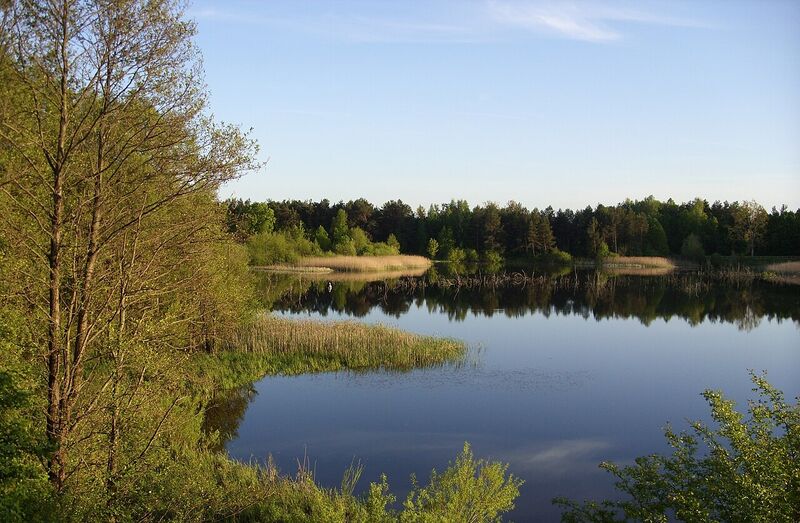 Węgorzewo